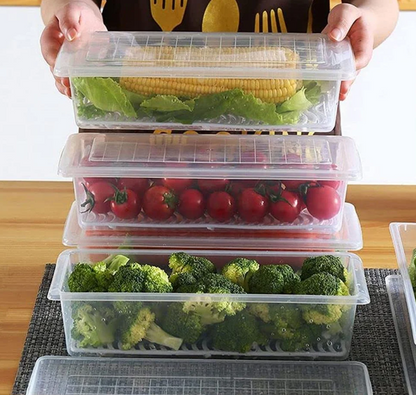 Vegetables & Fruits Freezer Storage Container (PACK OF 6PC 1500ML)