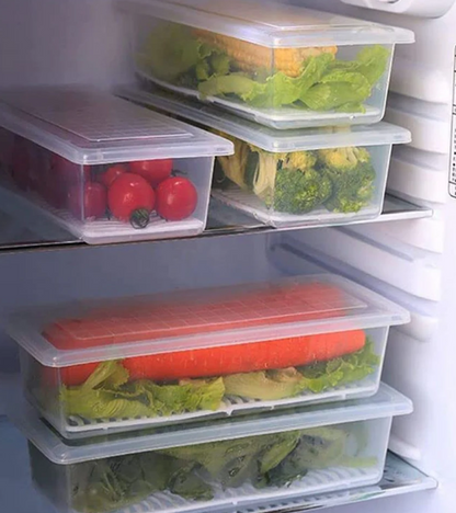 Vegetables & Fruits Freezer Storage Container (PACK OF 6PC 1500ML)